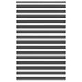 vidaXL Zebra roleta čierna 140x200 cm šírka látky 135,9cm polyester