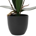 vidaXL Umelá rastlina orchidea Červená 36 x 10 x 30 cm
