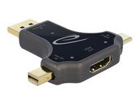 Video adaptér - USB-C, Mini DisplayPort, DisplayPort s pínmi (male) do HDMI so zdierkami (female) - antracit - podporuje 4K