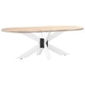 vidaXL Noha konferenčného stolíka v tvare pavúka, biela 98x58x(42-43) cm, oceľ