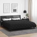 vidaXL Zimný prehoz 220 x 260 cm 450 gsm Mikrovlákno (100% polyester)