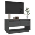 vidaXL TV skrinka sivá 74x34x40 cm masívna borovica