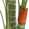 vidaXL Umelá palma s 3 kmeňmi zelená 120 cm PP