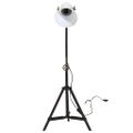 vidaXL Podlahová lampa 25 W biela 35x35x65/95 cm E27