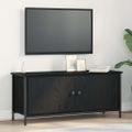 vidaXL TV skrinka 100 x 35 x 45 cm Čierny dub Kompozitné drevo