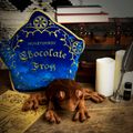 Plyšák s vankúšom Harry Potter - Čokoládová žabka
