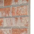 vidaXL Nástenné panely 10 ks 100 x 50 cm Oranžová EPS pena