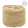vidaXL Lano na čln 6 mm 50 m Prírodná