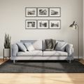 vidaXL Koberec ISTAN vysoký vlas lesklý vzhľad antracitový 140x200 cm