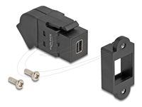 Keystone Module Mini DisplayPort panel m