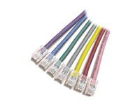 Patch kábel - RJ-45 (M) do RJ-45 (M) - 30.5 m - UTP - CAT 5 - licna - sivá