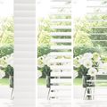 vidaXL Žalúzia Biela 40 x 130 cm 35 mm Masívne Paulownia drevo