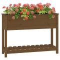 vidaXL Kvetináč s policou medovohnedý 111,5x34,5x81cm masív. borovica