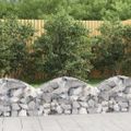 vidaXL Oblúkový gabionový kôš 100x30x40/60 cm pozinkované železo