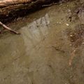 AK Interactive: Water Gel - Swamp Green