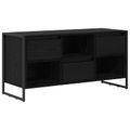 vidaXL TV skrinka 100 x 36 x 49,5 cm Čierny dub Kompozitné drevo