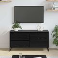 vidaXL TV skrinka 100 x 36 x 49.5 cm Čierny dub Kompozitné drevo