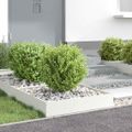 vidaXL Obrubník trávnika 60 x 60 x 13 cm Oceľ Biela
