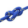 vidaXL Lano na čln 5 mm 5 m Modrá