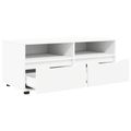 vidaXL TV skrinka 100 x 48 x 43 cm Biela Kompozitné drevo
