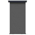 vidaXL Bočný markíz na balkón 117 x 250 cm