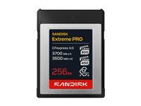 SanDisk Extreme PRO - Pametová karta flash - 256 GB - CFexpress 4.0 Typ B