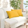 vidaXL Vankúše na pohovku 2 pcs Svetložltá 60 x 40 cm