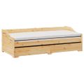 vidaXL Denná posteľ s výsuvným lôžkom bez matraca IRUN 90x200 cm