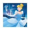 VESELÉ PRINCEZNÉ 3x55 Puzzle