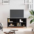 vidaXL TV skrinka čierna 100x40x50 cm spracované drevo