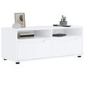 vidaXL TV skrinka „VISNES“ biela 100x40x38 cm, drevo