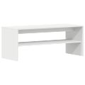 vidaXL TV skrinka biela 120x40x40 cm drevotrieska