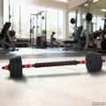 vidaXL 2-v-1 set činiek a činky 20 kg Čierna a červená