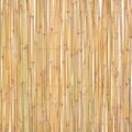 vidaXL Bambusový plot 300x100 cm