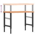 vidaXL Pracovný stôl 100x(55-60)x(73-99,5) cm masívny buk