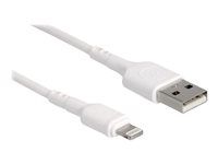Kábel Lightning - USB s kolíkmi (samec) do Lightning s kolíkmi (samec) - 30 cm - biela