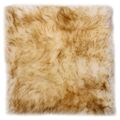 vidaXL Podsedáky na stoličky 2 ks hnedo-biele 40 x 40 cm pravá ovčia kožušina