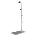 vidaXL Záhradná sprcha so sivým podstavcom 220 cm hliník