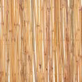 vidaXL Bambusový plot 500x30 cm