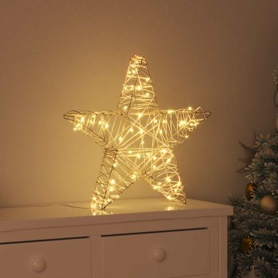 vidaXL 3D hviezda s 50 LED-i Teplá biela 55 x 52.5 x 9 cm Ratan