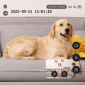 TESLA SecureQ SC10 - vnútorná smart kamera