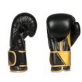 Boxerské rukavice DBX BUSHIDO B-2v10 14 oz
