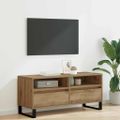 vidaXL TV skrinka 100 x 34,5 x 44,5 cm Remeselný dub