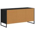 vidaXL TV skrinka 100 x 36 x 49,5 cm Čierny dub Kompozitné drevo