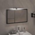 vidaXL LED zrkadlová lampa 5,5 W studené biele svetlo 30 cm 6000 K
