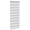 vidaXL Zebra roleta svetlosivá 60x150cm šírka látky 55,9 cm polyester