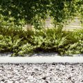 vidaXL Obrubník trávnika 50 ks 100 x 0,05 x 15 cm Biela
