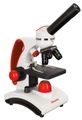 (SK) Mikroskop Levenhuk Discovery Pico