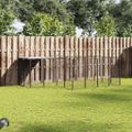 vidaXL Koterec pre psy čierny 6,05 m² oceľ