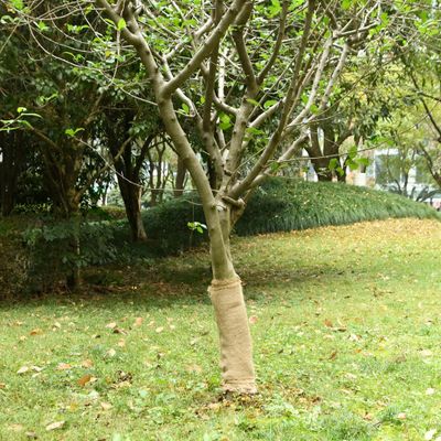 vidaXL Jutová rolka 0,5 x 25 m 100 % juta 200 g/m²